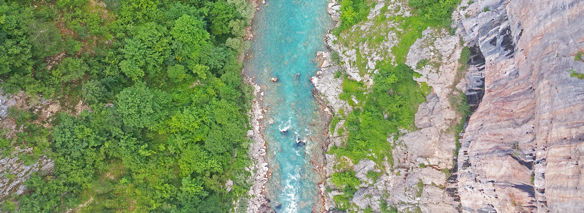 tara-river