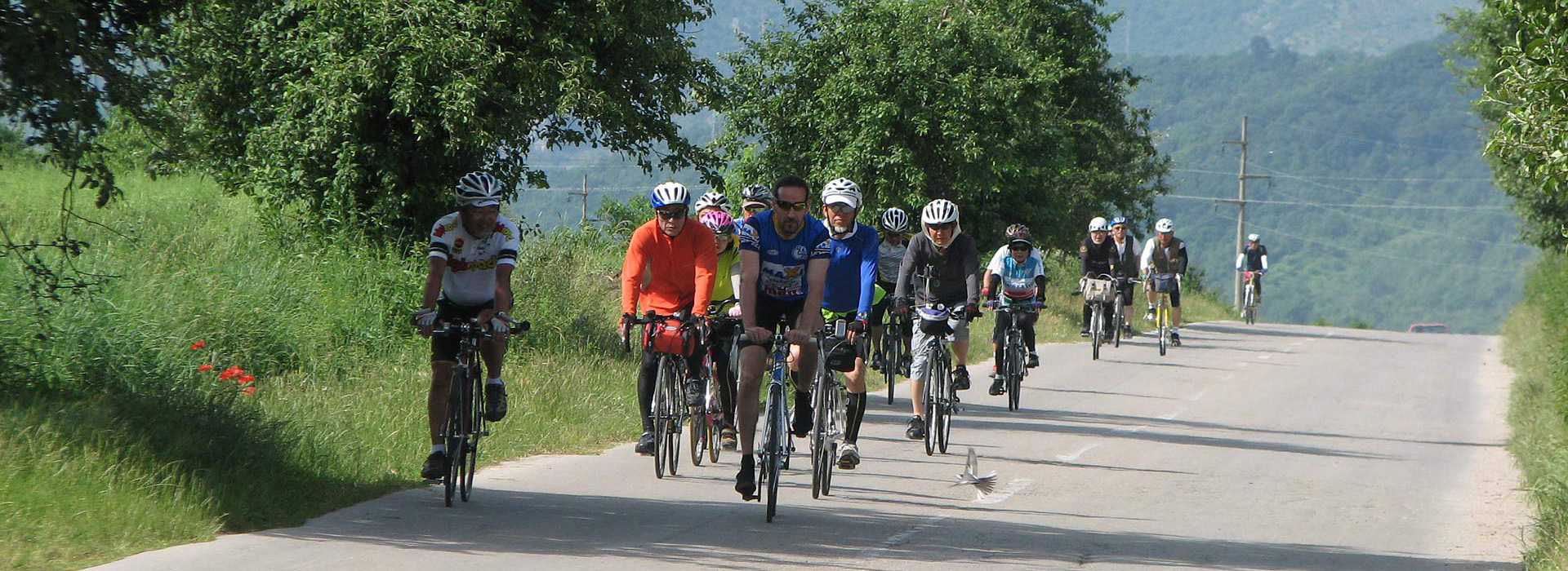 Danube Guided Cycling Holiday