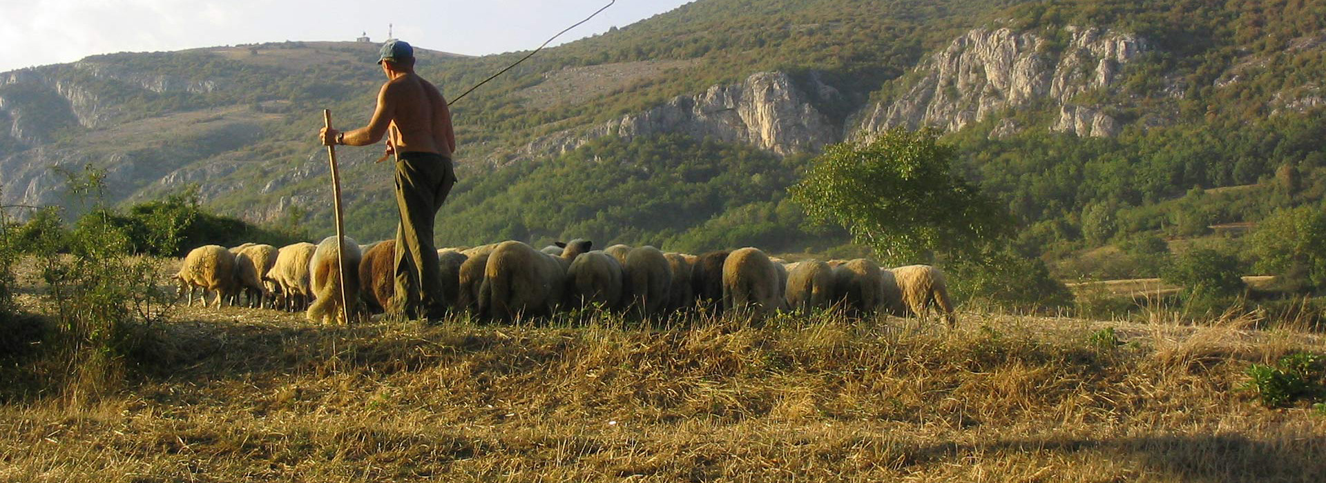 Walking Serbia guided holiday - Shepard in Sićevo village